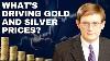 Driving Factors Behind The Sharp Rise And Drastic Decline Of Gold U0026 Silver Prices And What S Next