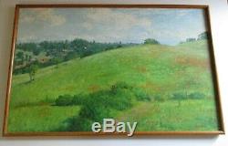 Large Watson Signed Oil Painting Vintage California Blooming Poppies Landscape