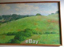 Large Watson Signed Oil Painting Vintage California Blooming Poppies Landscape
