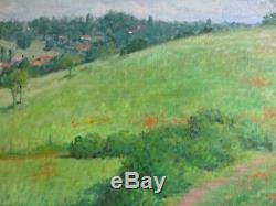 Large Watson Signed Oil Painting Vintage California Blooming Poppies Landscape