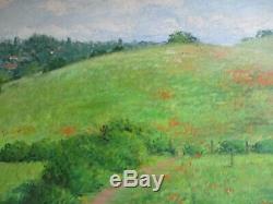 Large Watson Signed Oil Painting Vintage California Blooming Poppies Landscape