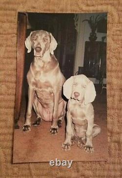 VTG 1968 Mary Clars Brumley WEIMARANER DOG OIL PAINTING on Canvas Original Frame