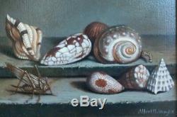 Vintage Antique Sea Shell Oil Painting Beach House Decor Signed