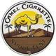 Vintage Camel Cigarettes Porcelain Sign Road Gas Station Camel Marlboro Turkish