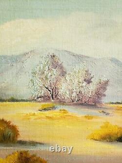 Vintage Oil Painting-Mountain/Desert Landscape