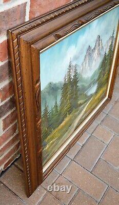 Vintage Original Oil Painting Mountain Landscape Signed D. Junepa Framed